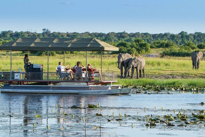 Full Day Private Tour in Chobe  - Photo 1 of 7