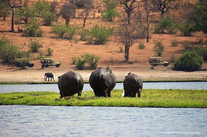 Livingstone to South Luangua National Park package - Photo 1 of 2