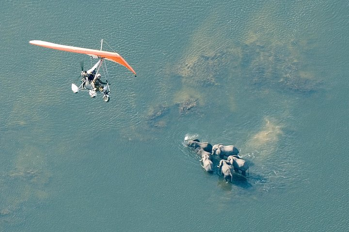 Microlight above the falls

Up and close! 

Photo credit: Dana Allen 