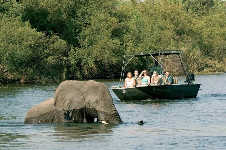 Shepherd Taxi and Tours, River Safari