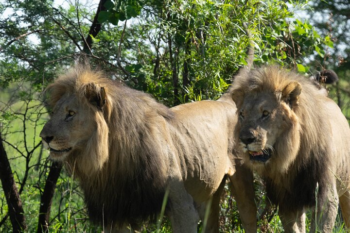 Zambia - Northern Kafue National Park Explorer - Photo 1 of 6